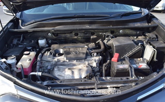 
								2017 TOYOTA RAV4 full									